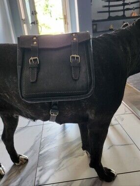 Large Dog Leather Sadle Bag